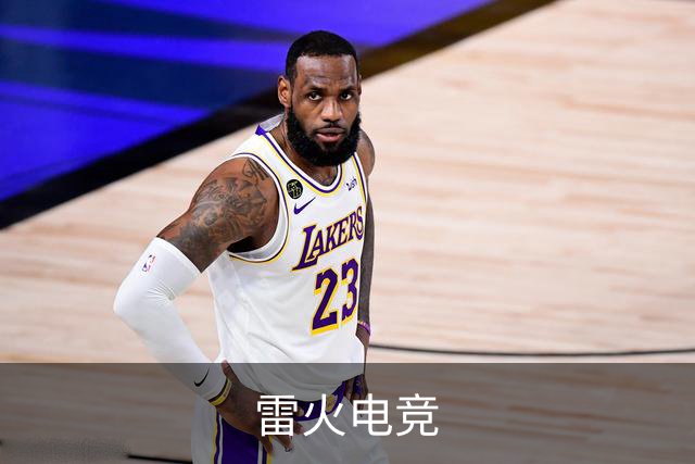 雷火电竞公司简介